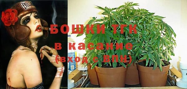 каннабис Аркадак