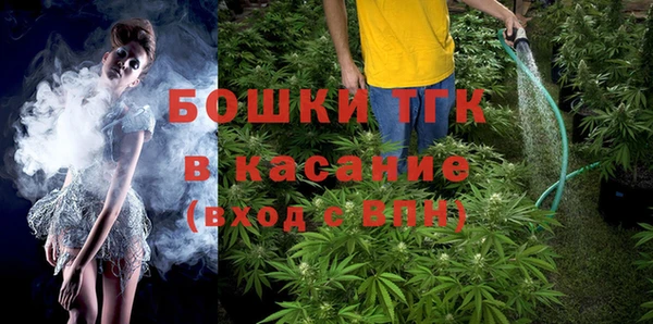 дурь Арсеньев